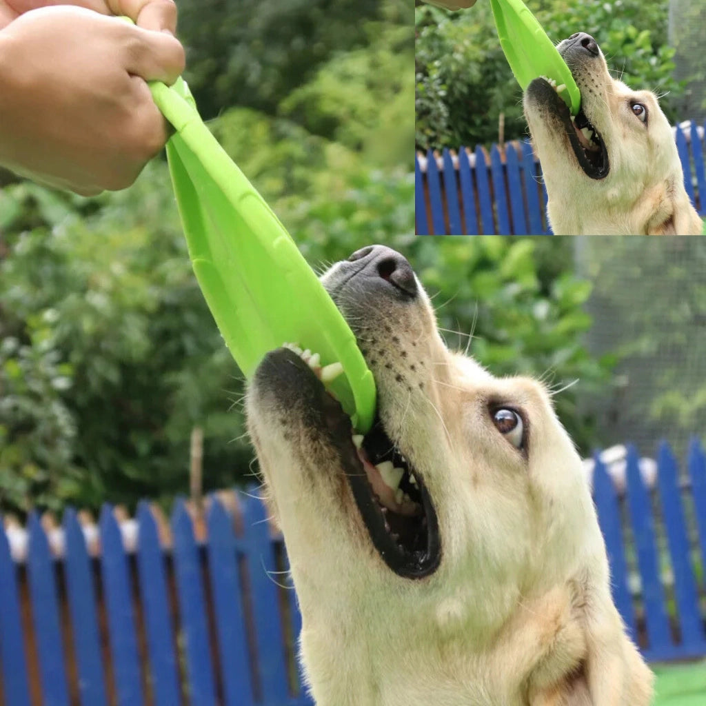 frisbee-de-plastico-para-cachorro-verde